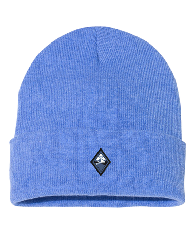 CPSC Beanie
